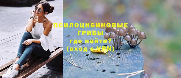 винт Карпинск