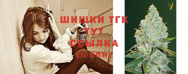 винт Карпинск