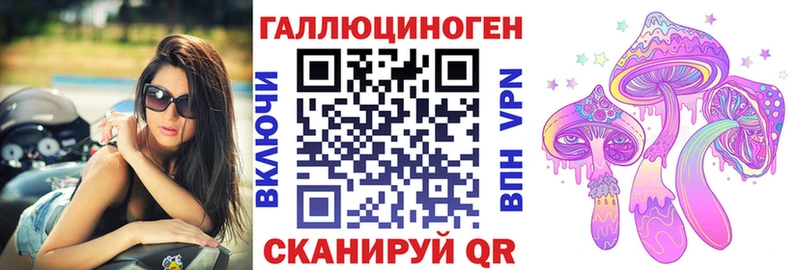 Псилоцибиновые грибы прущие грибы  Купить  Сельцо 